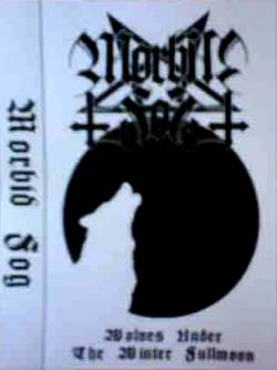 Wolves Under the Winter Fullmoon